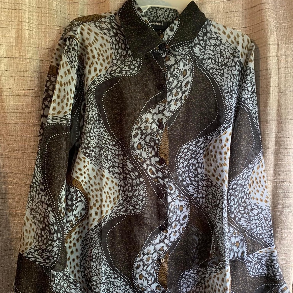 Cassee’s Button Down Sheer Long Sleeve Blouse